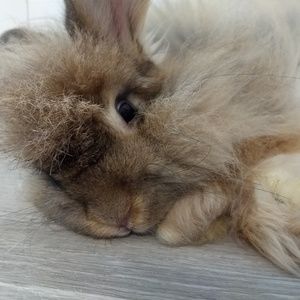 Meet your Posher, Franziska